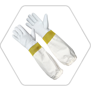 gloves